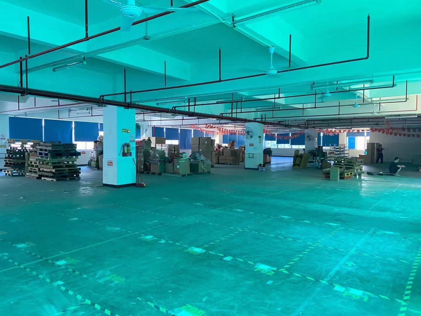 丹竹头物流园大型工业区一二楼带装修红本厂房2000平出租