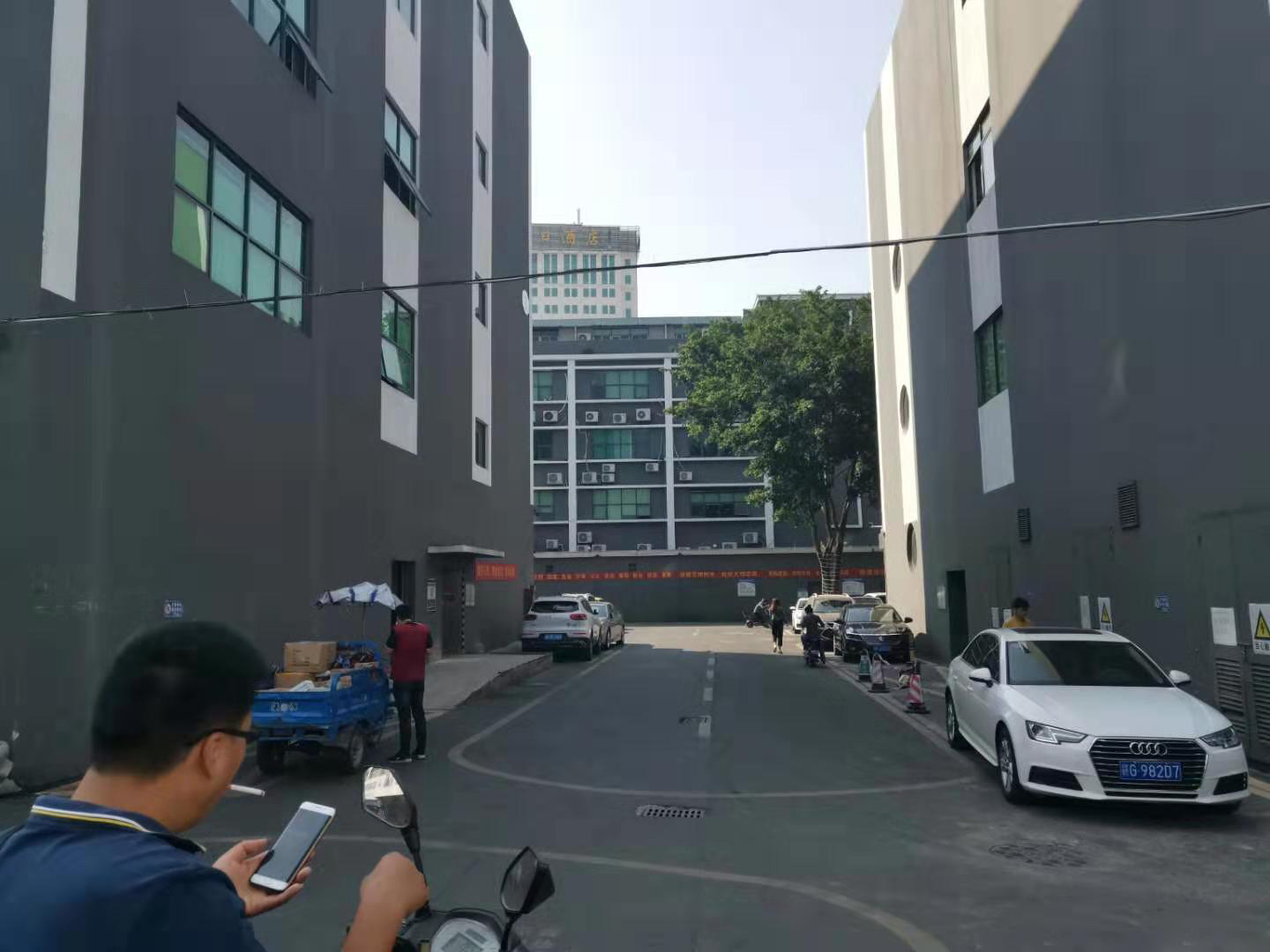 塘厦观澜交界处物流园一楼1000平仓库出租，高5米，好进货车