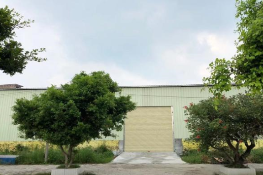 飞来峡升平镇 厂房 1800平米 混凝土和钢结构