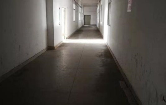 出租高埔岗国道边三楼三房