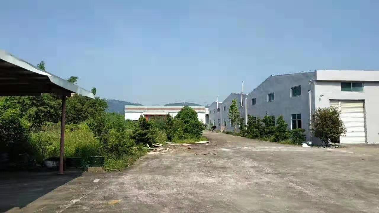 惠阳新圩原房东独院钢构厂房出租