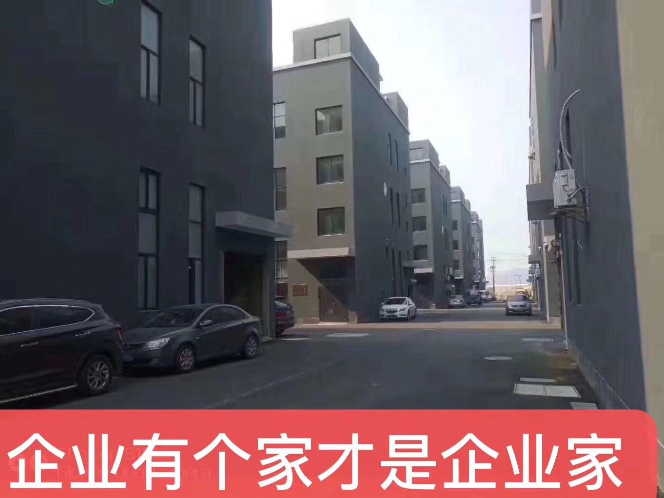 新建国标厂房出售