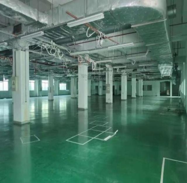 松岗镇中心一手房东红本独院厂房大型工业区三栋2万平大小分