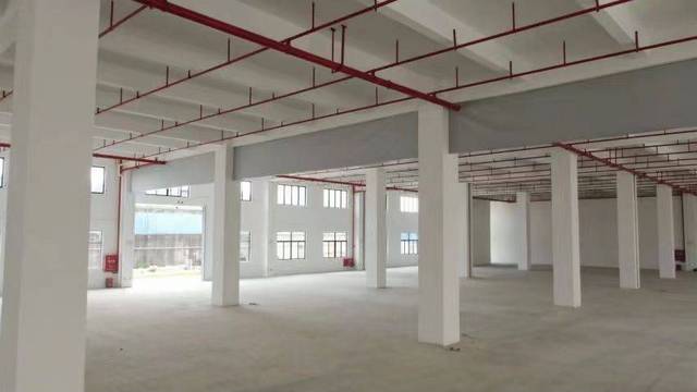 原房东全新装修红本厂房 独门独院
