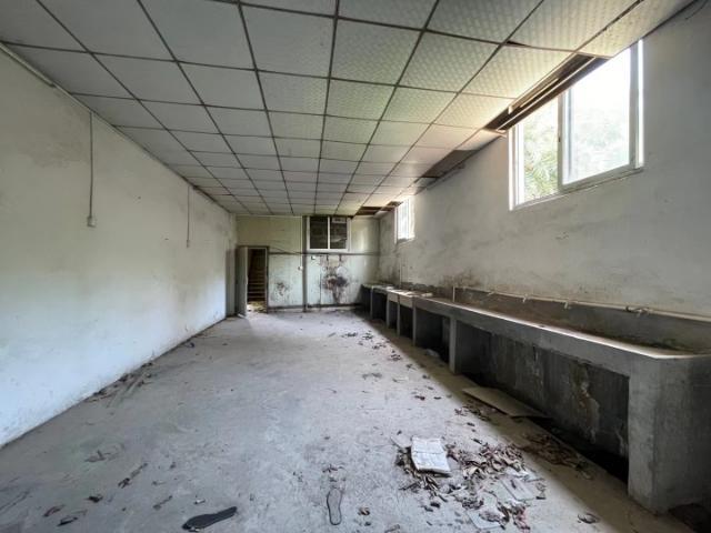 一手厂房出租 店铺出租 消防过关