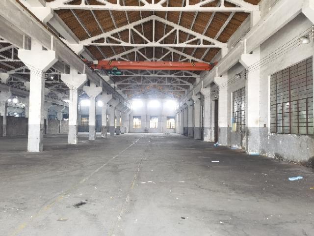 虞桥两跨车间出租行车5墩