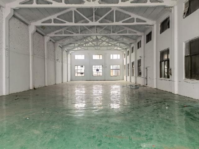 洛阳1800平米单层厂房，450平起租