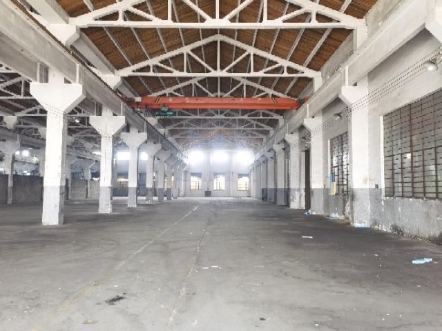 虞桥两跨车间出租行车5墩