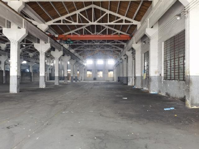 虞桥两跨车间出租行车5墩