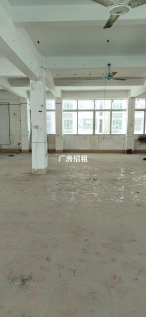 厂房招租海丰鲤鱼山工业区