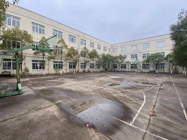启东市(江洲路38号)28000平方厂房出租