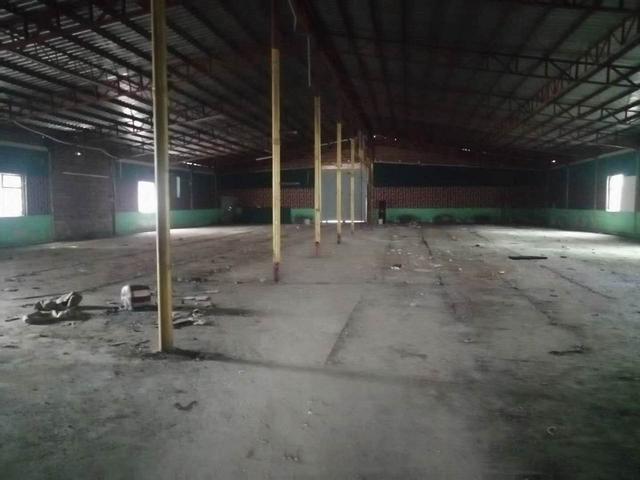 惠城区小金口独门独院1000平方钢构厂房只需10元