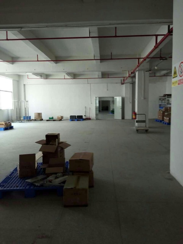 凤岗金凤凰便宜厂房出租2000平方
