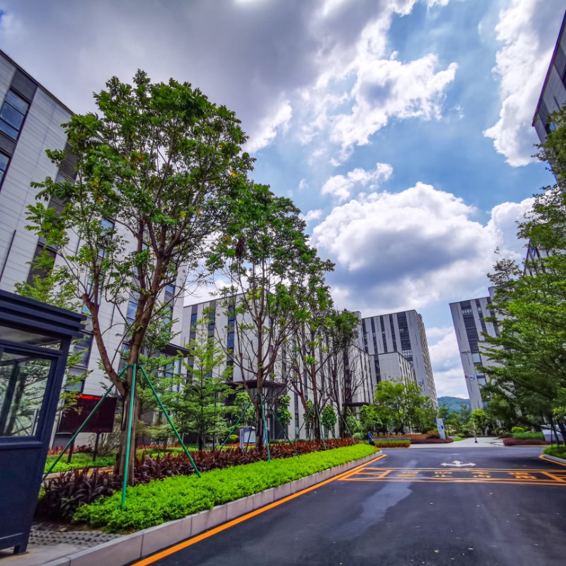 中山黄圃马新工业区 4层全新独栋厂房 50年产权首付3成