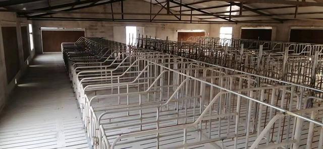 大型养猪场出租