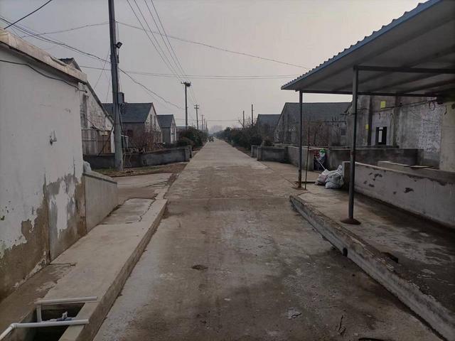 大型养猪场出租