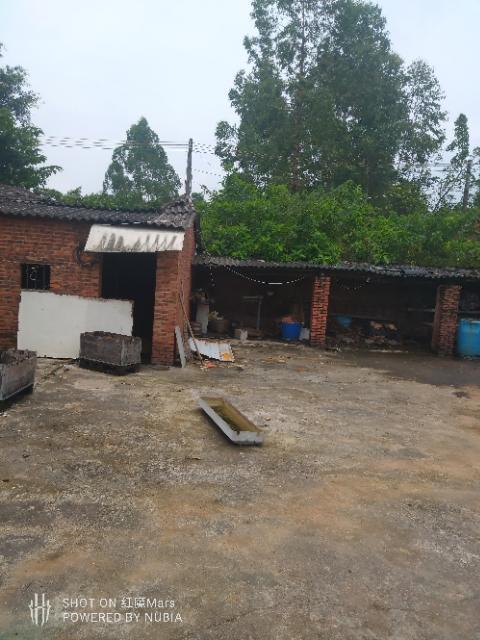 石角独立厂房出租，可以多用处