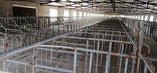 大型养猪场出租