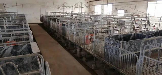 大型养猪场出租