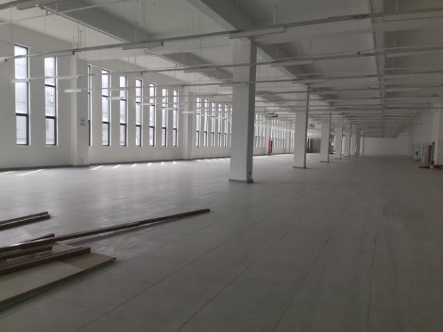 九龙湖地铁站旁一楼二楼厂房出租，每层1000，