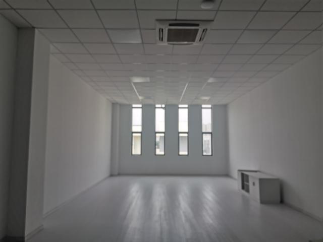 九龙湖地铁站旁一楼二楼厂房出租，每层1000，