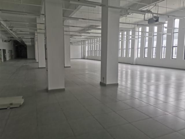 九龙湖地铁站旁一楼二楼厂房出租，每层1000，