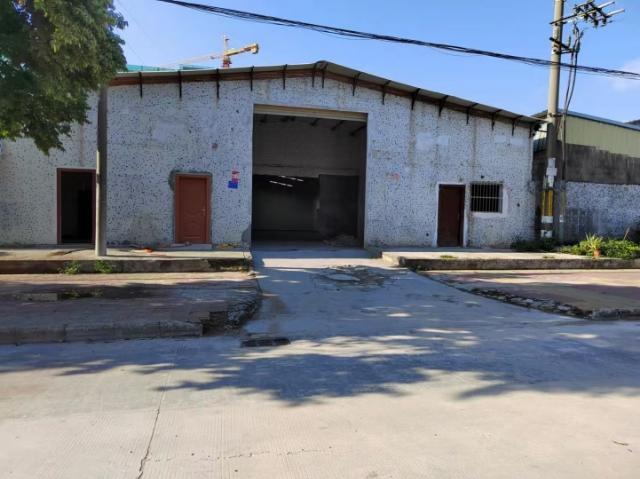 塘厦马路边独院钢构厂房1100平方出租