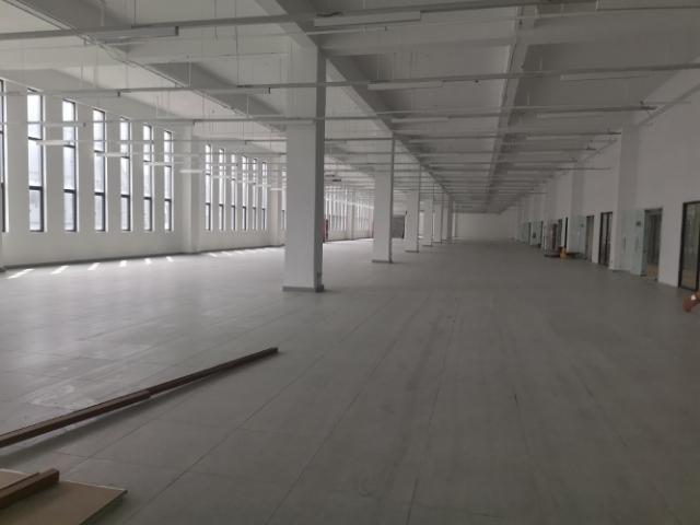 九龙湖地铁站旁一楼二楼厂房出租，每层1000，