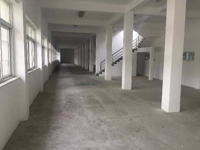 (出租)五角场优质厂房洪东分园翔殷路81号