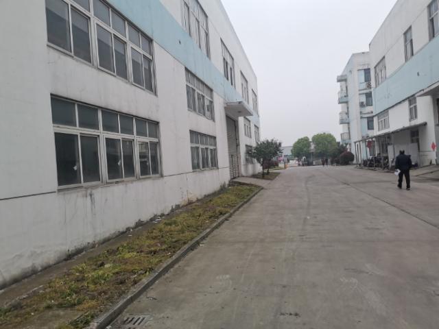 个人直租独门独院8000平厂房出租可分租1000平