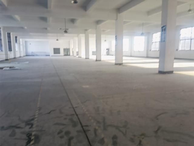 （8月新出）礼嘉两层厂房，一楼行车车间