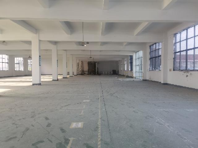 （8月新出）礼嘉两层厂房，一楼行车车间