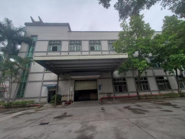 塘厦林村一楼厂房出租1000平方带装修