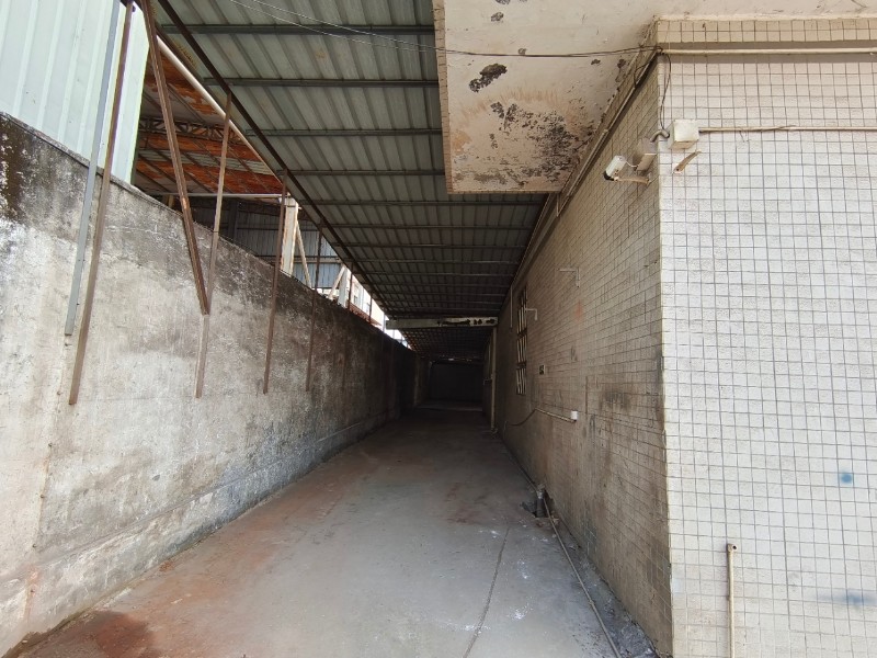 潼桥整栋厂房出租,大小可分租