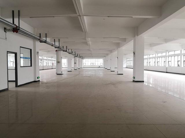 西兴1500方整层 可分割小面积 淘宝办公服装展厅 采光好