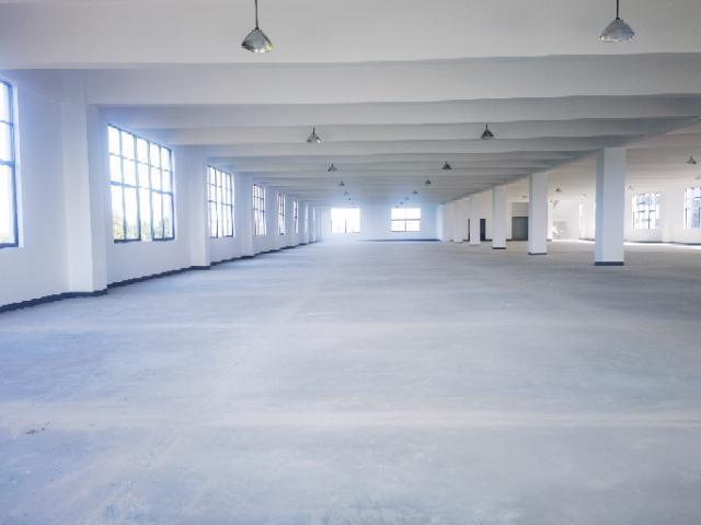 独门独院新建厂房