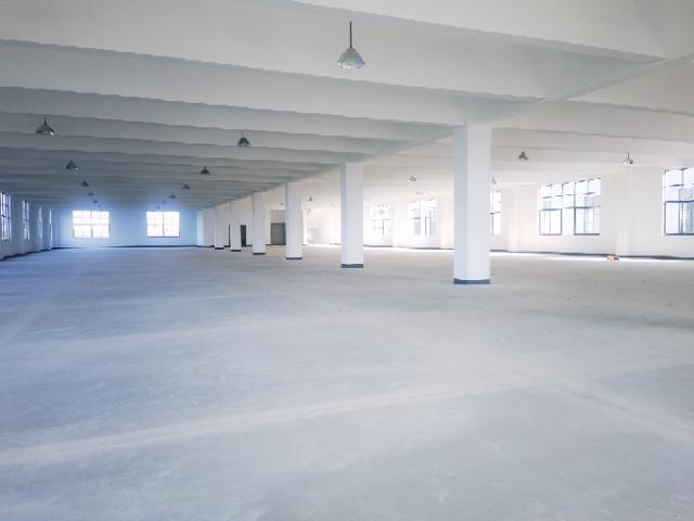 独门独院新建厂房