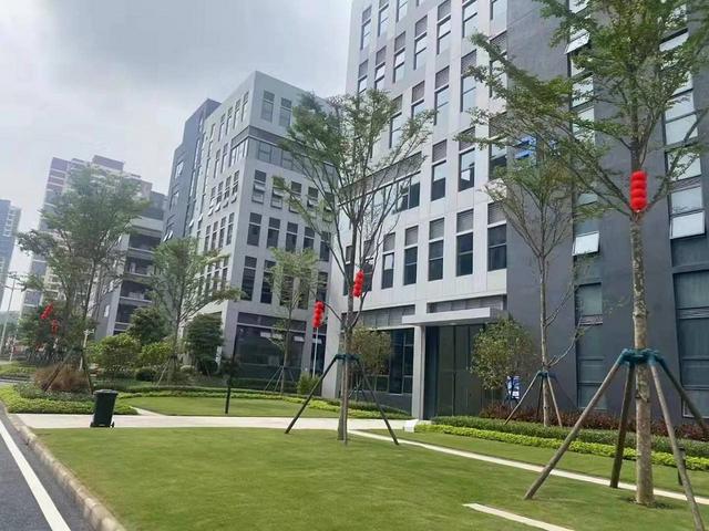 望牛墩60000平全新工业产业园整体打包出售中价格面议