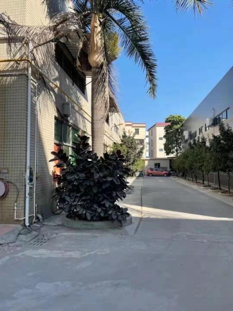 村委集体工业附独门独院厂房