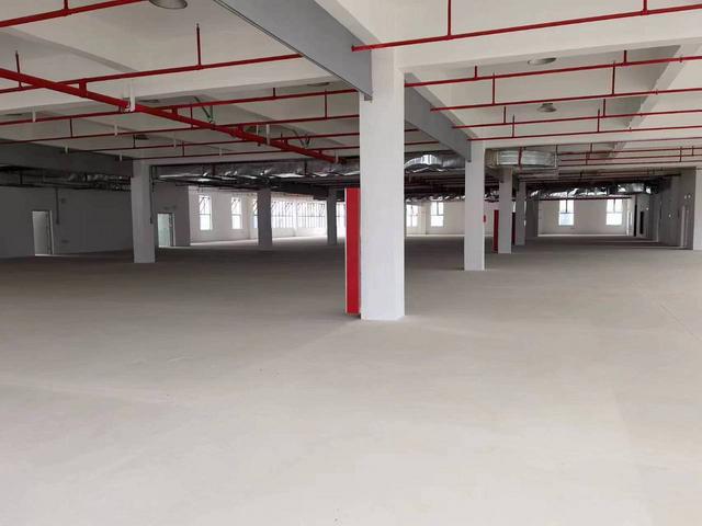 现房出售即买即用独栋厂房