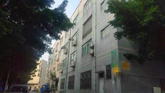 龙华独栋厂房3317平方诚意出售5500万
