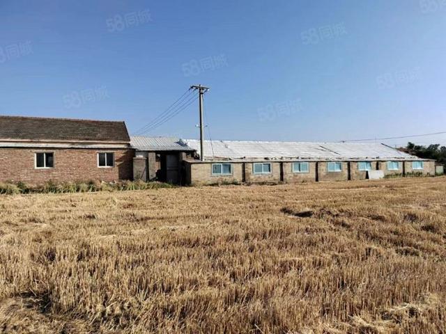 射阳县兴桥镇高速路口附近养猪场出售