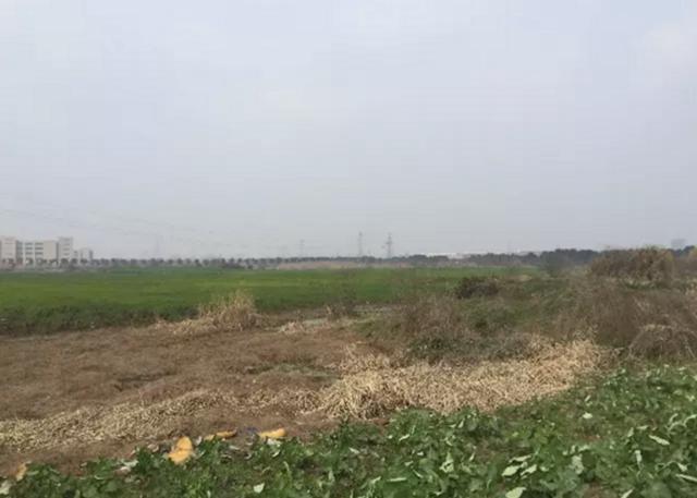 嘉兴20亩一手工业用地！精准拿地！政府扶持！立项挂牌！