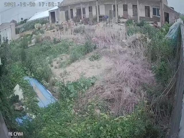 射阳县兴桥镇高速路口附近养猪场出售