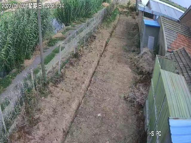 射阳县兴桥镇高速路口附近养猪场出售