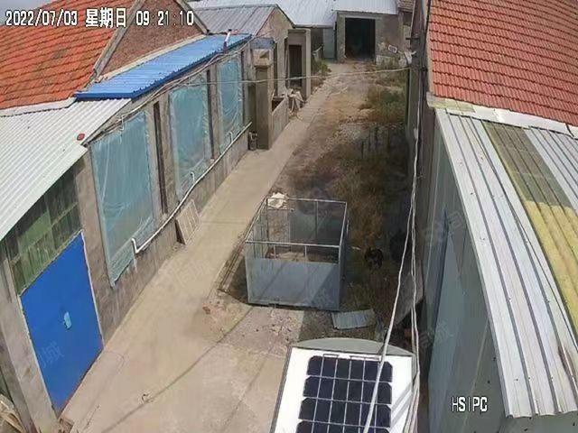 射阳县兴桥镇高速路口附近养猪场出售
