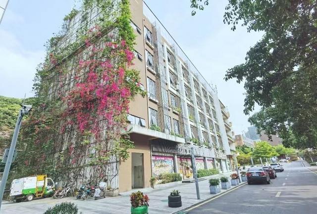 前海荔山工业区165平2加1格局精装修