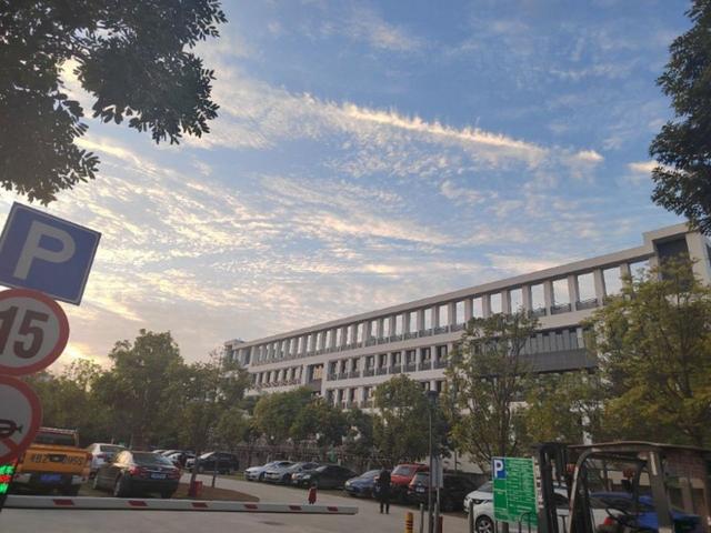 光明政府自持合成生物产业园，入驻可享受每平方45元补贴