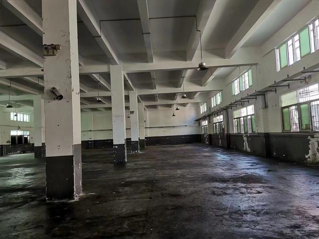 沙井新桥高速出口独门独院6500平方可分租有宿舍