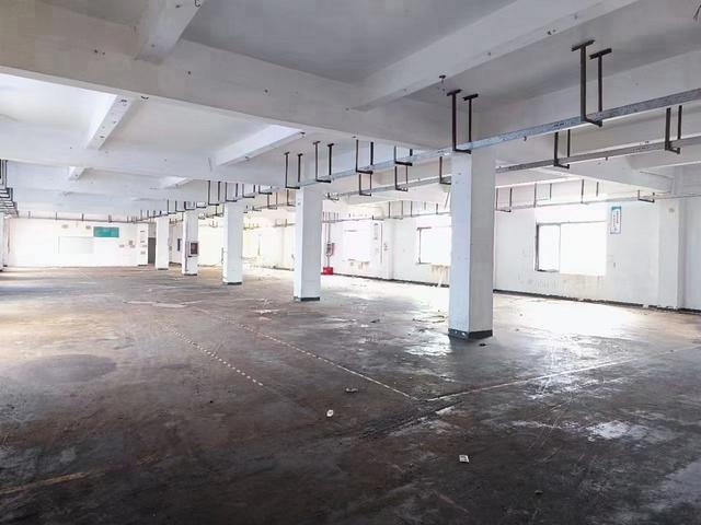 光明上村原房东独院4000平，厂房有红本，电630